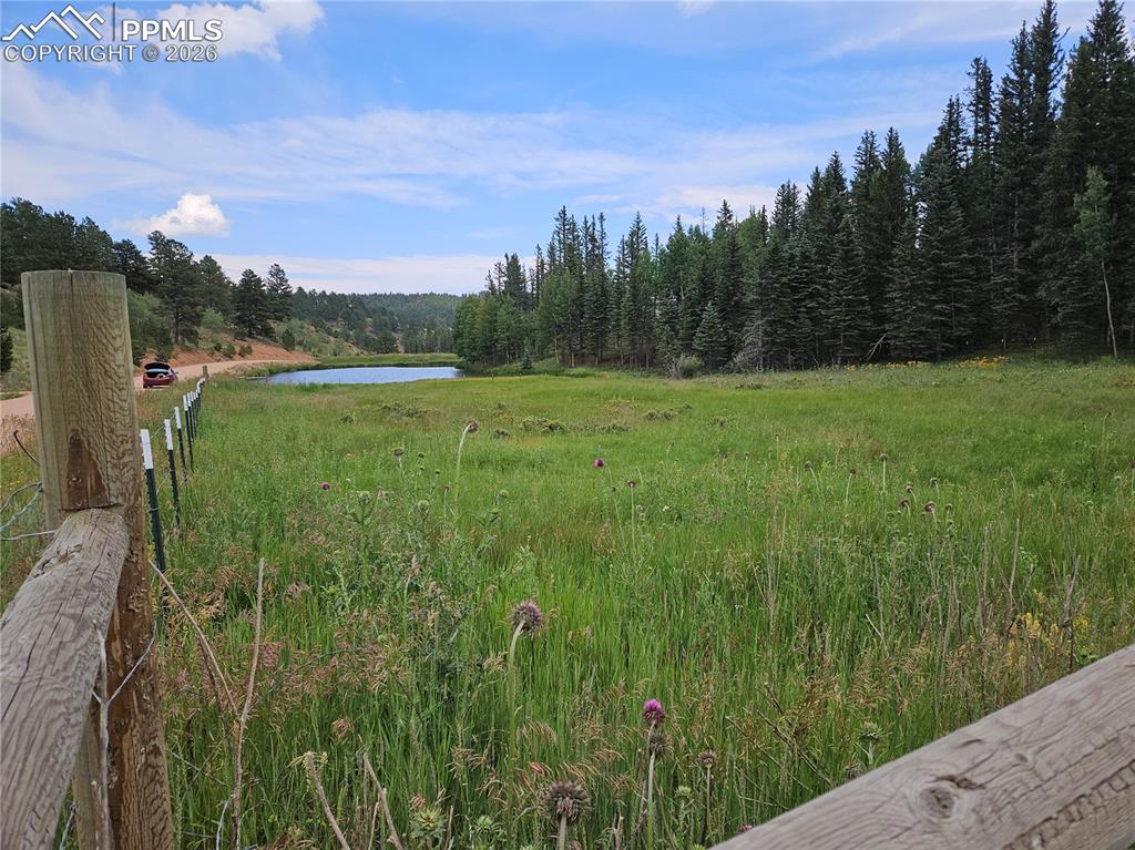 702 Lake Drive Divide CO 80814