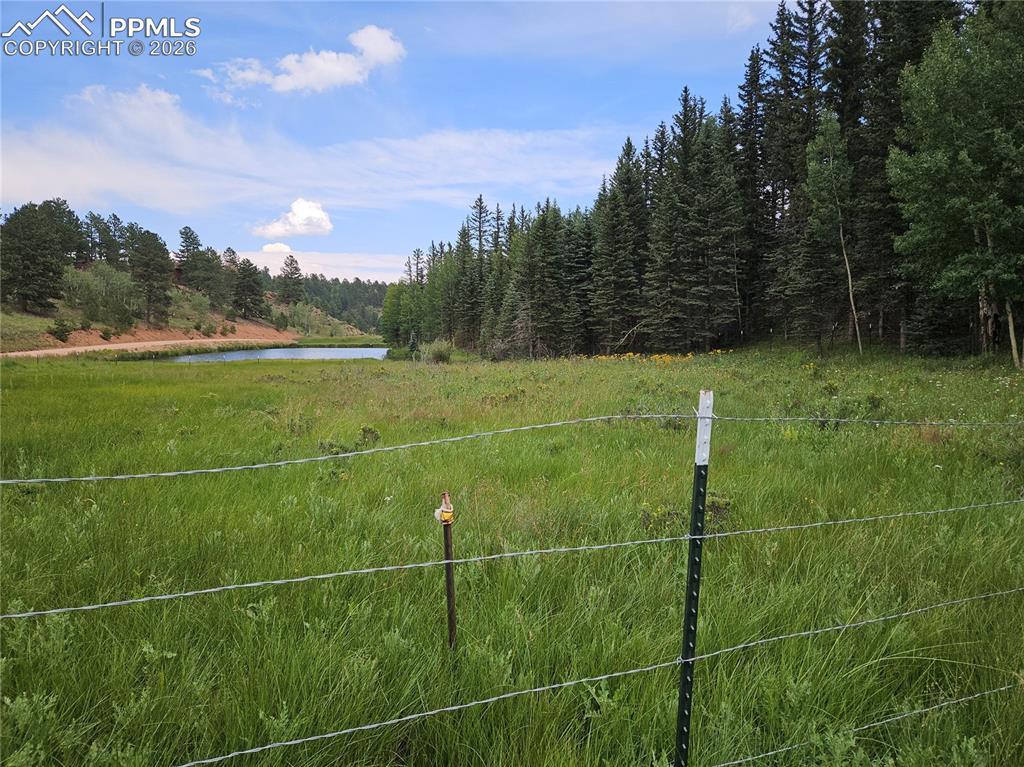 702 Lake Drive Divide CO 80814