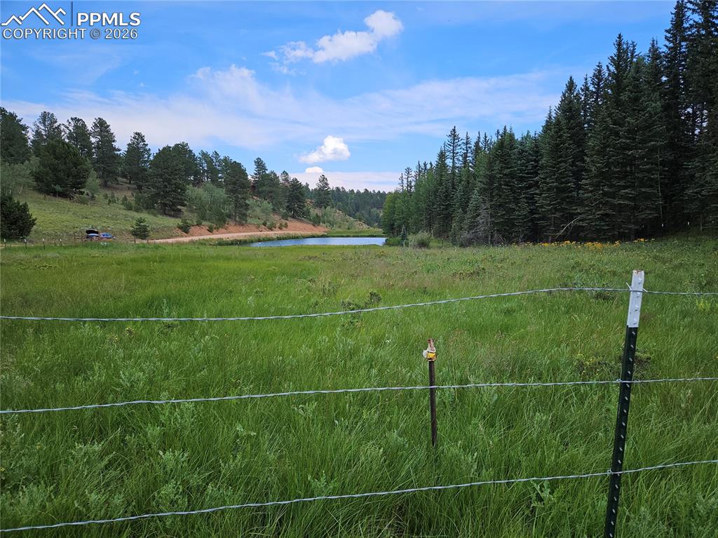 702 Lake Drive Divide CO 80814