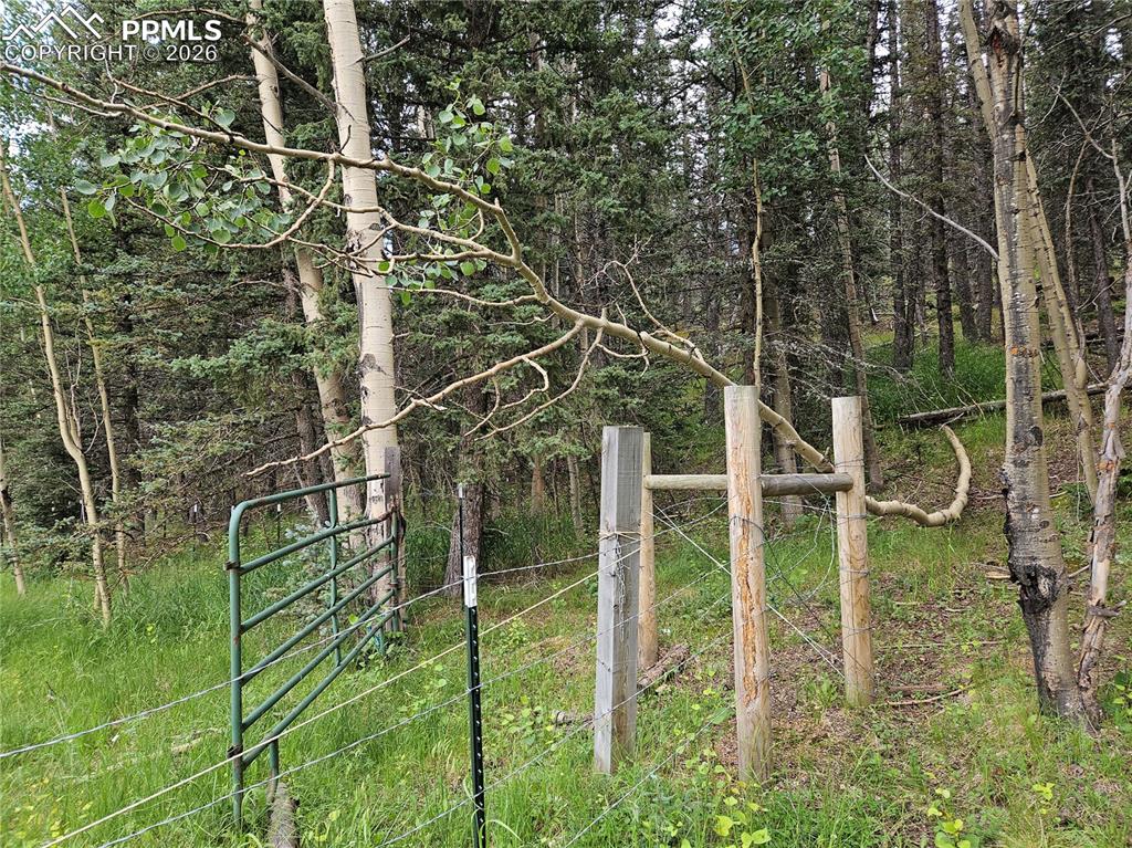 702 Lake Drive Divide CO 80814