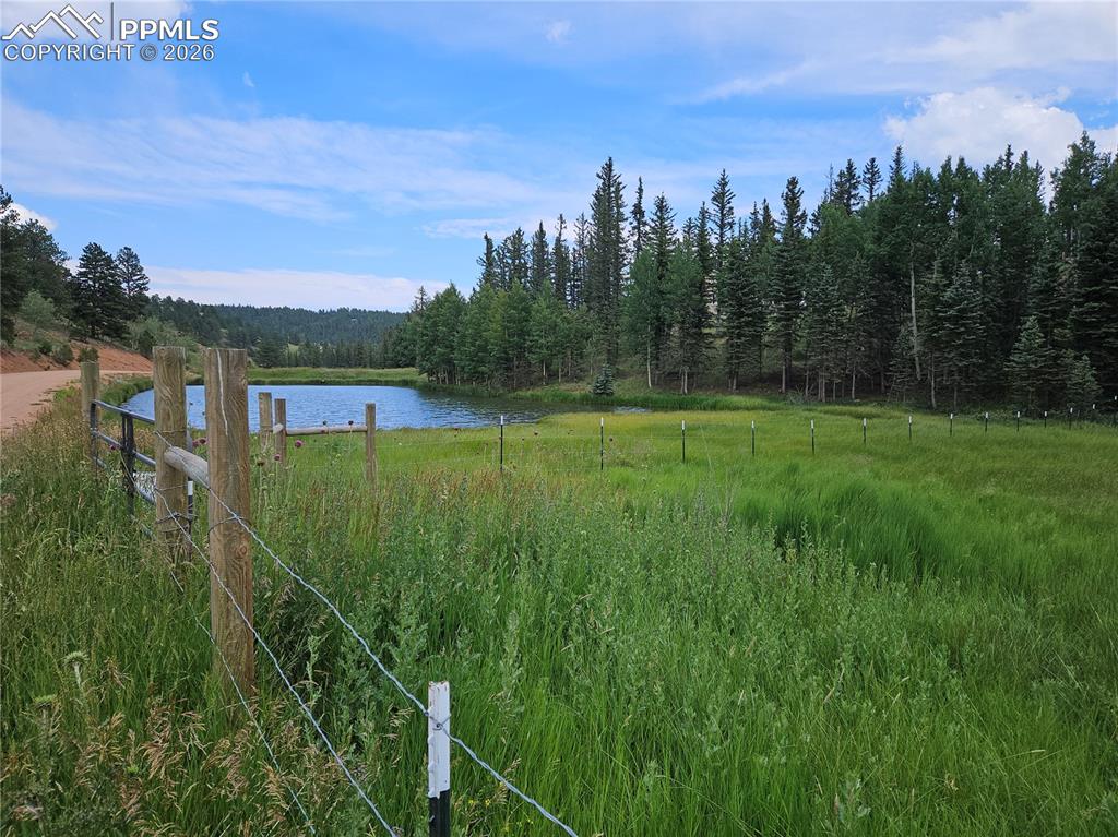 702 Lake Drive Divide CO 80814