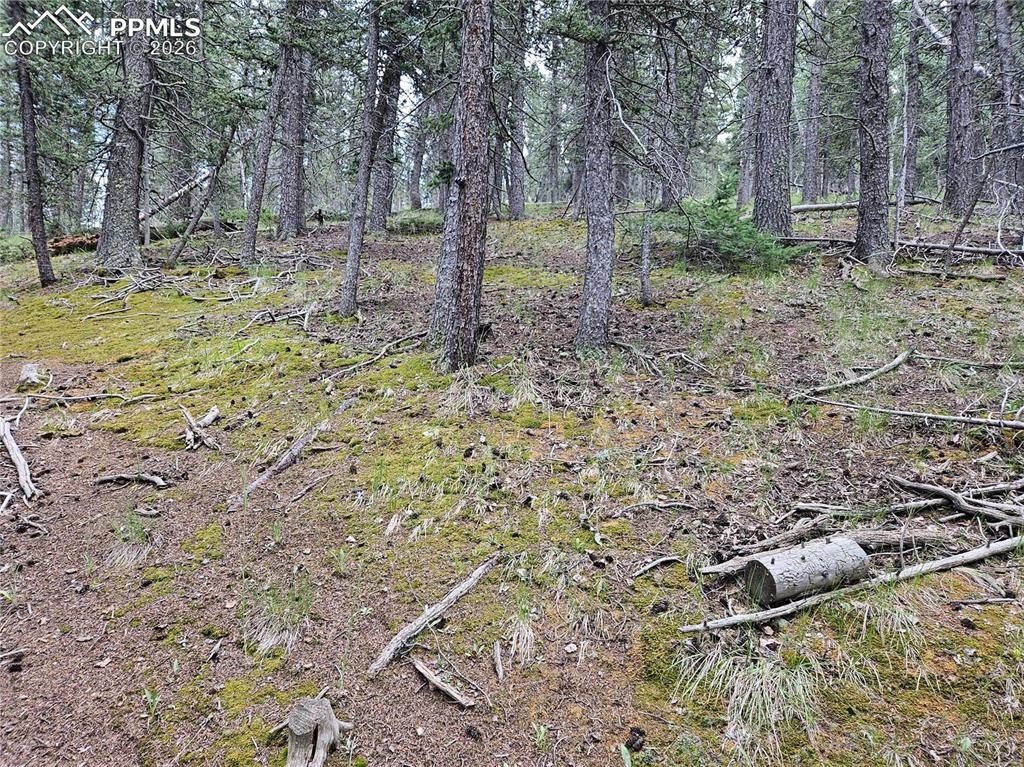 702 Lake Drive Divide CO 80814