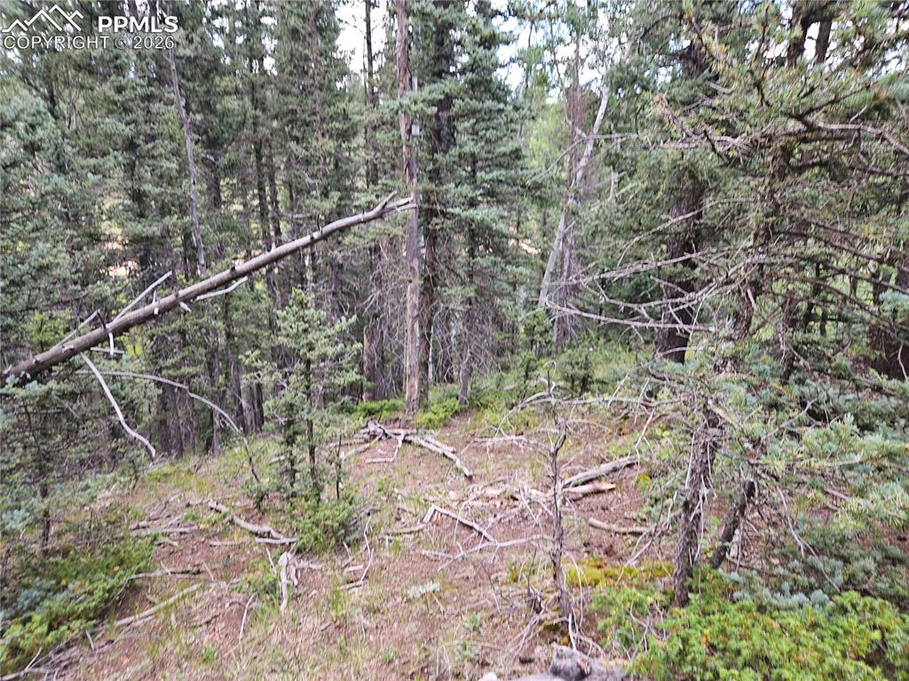 702 Lake Drive Divide CO 80814