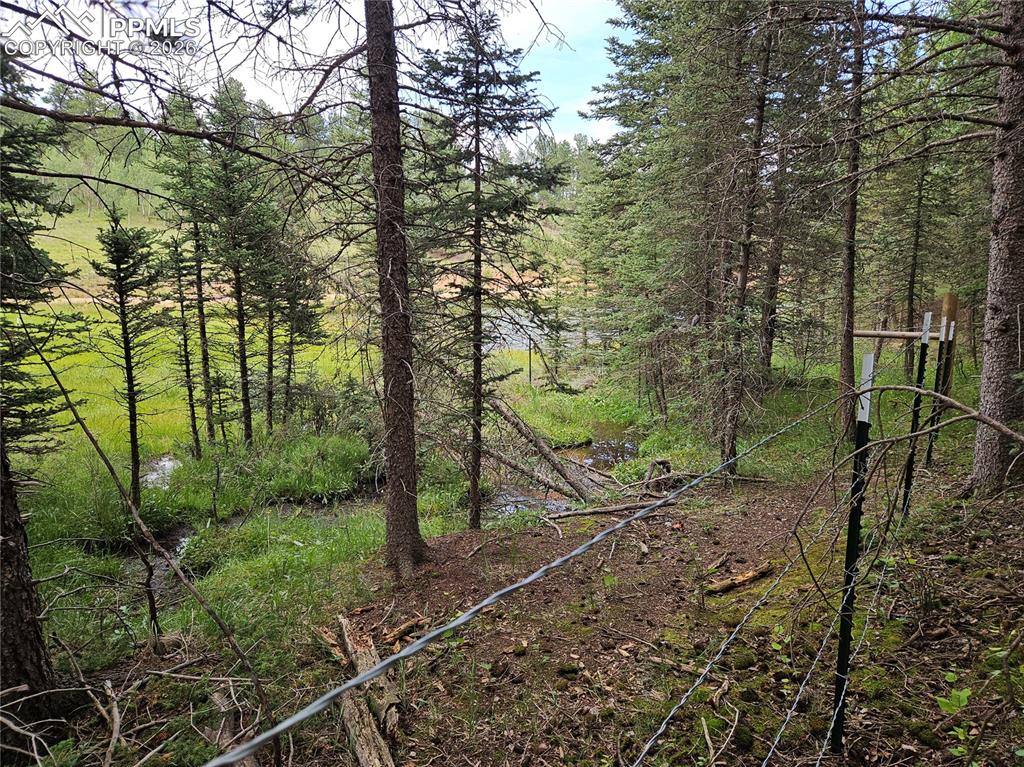 702 Lake Drive Divide CO 80814