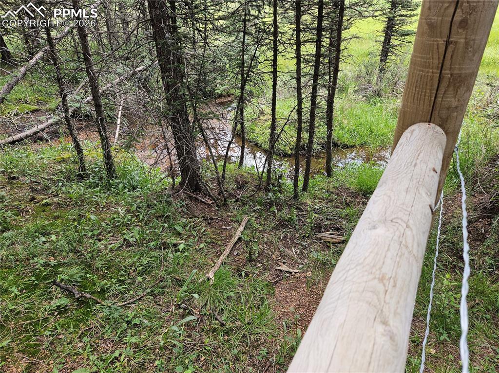 702 Lake Drive Divide CO 80814
