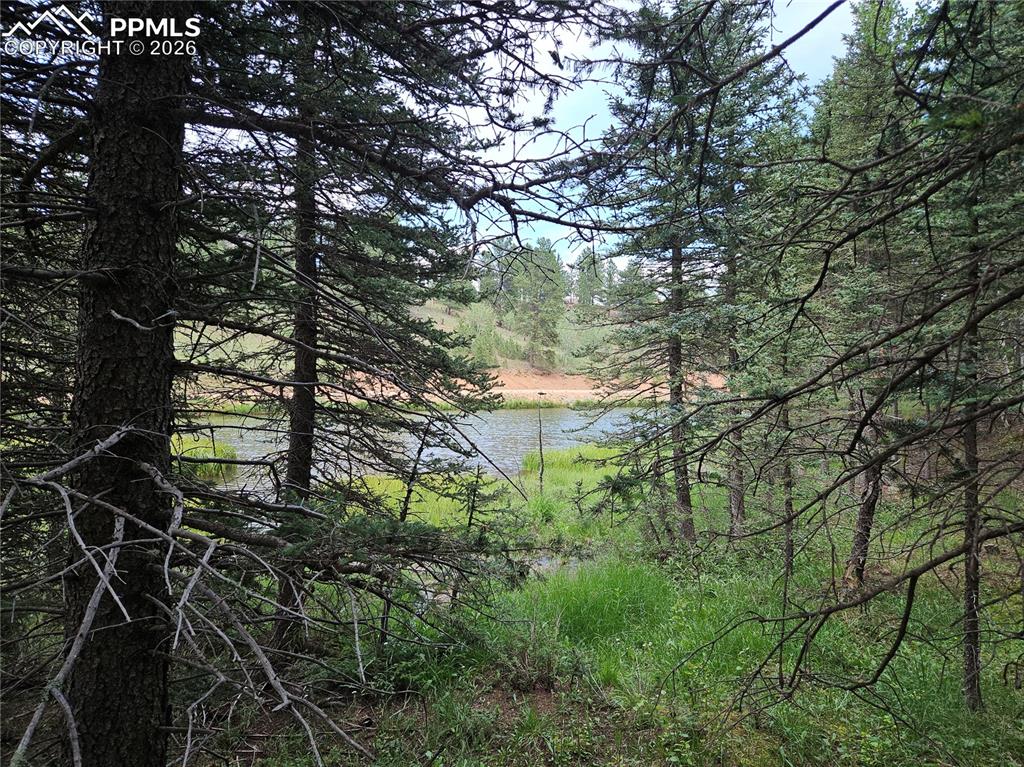 702 Lake Drive Divide CO 80814