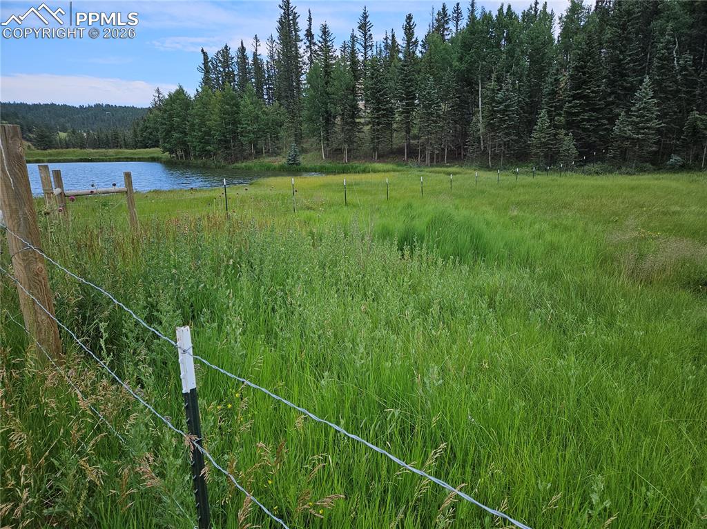 702 Lake Drive Divide CO 80814