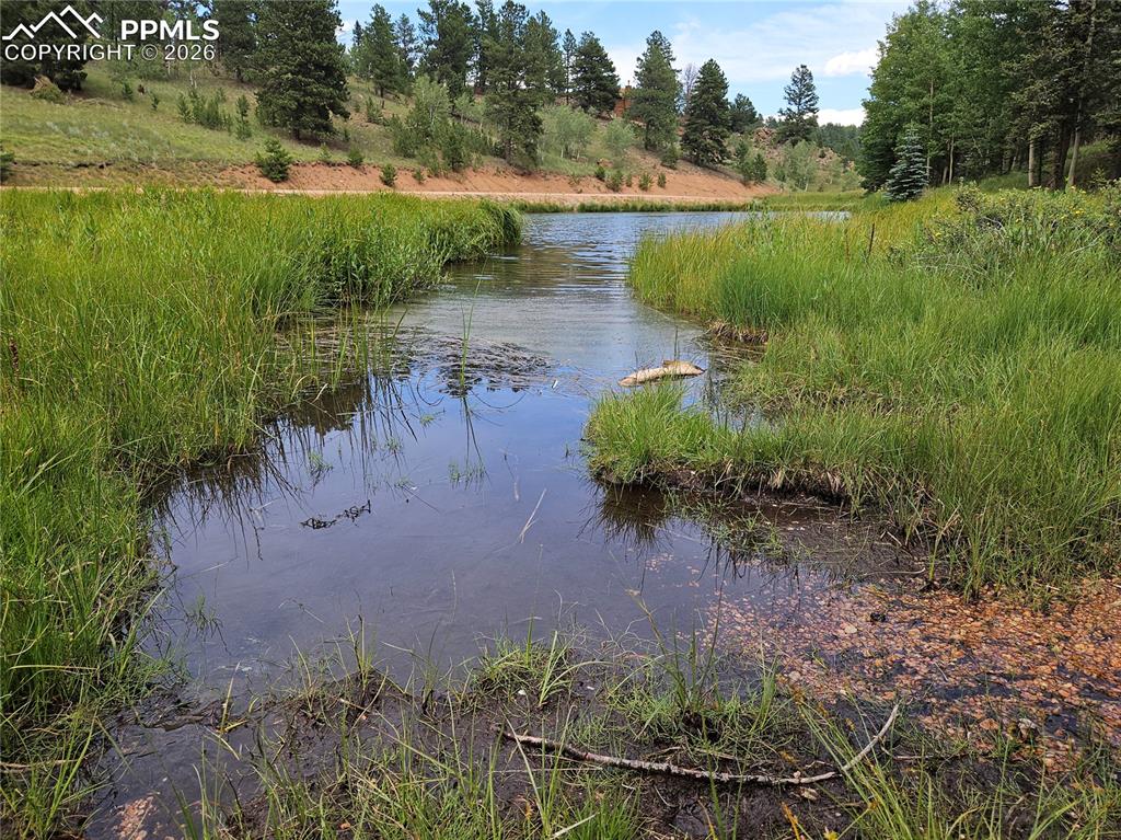 702 Lake Drive Divide CO 80814