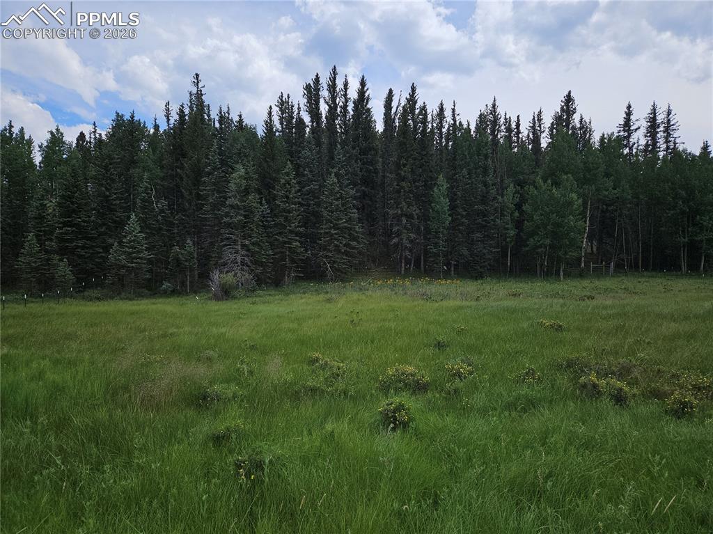 702 Lake Drive Divide CO 80814