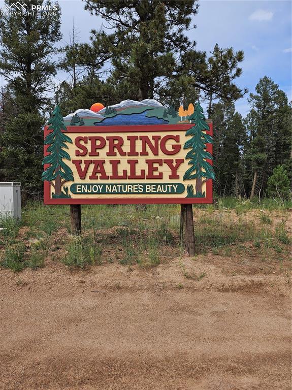 702 Lake Drive Divide CO 80814