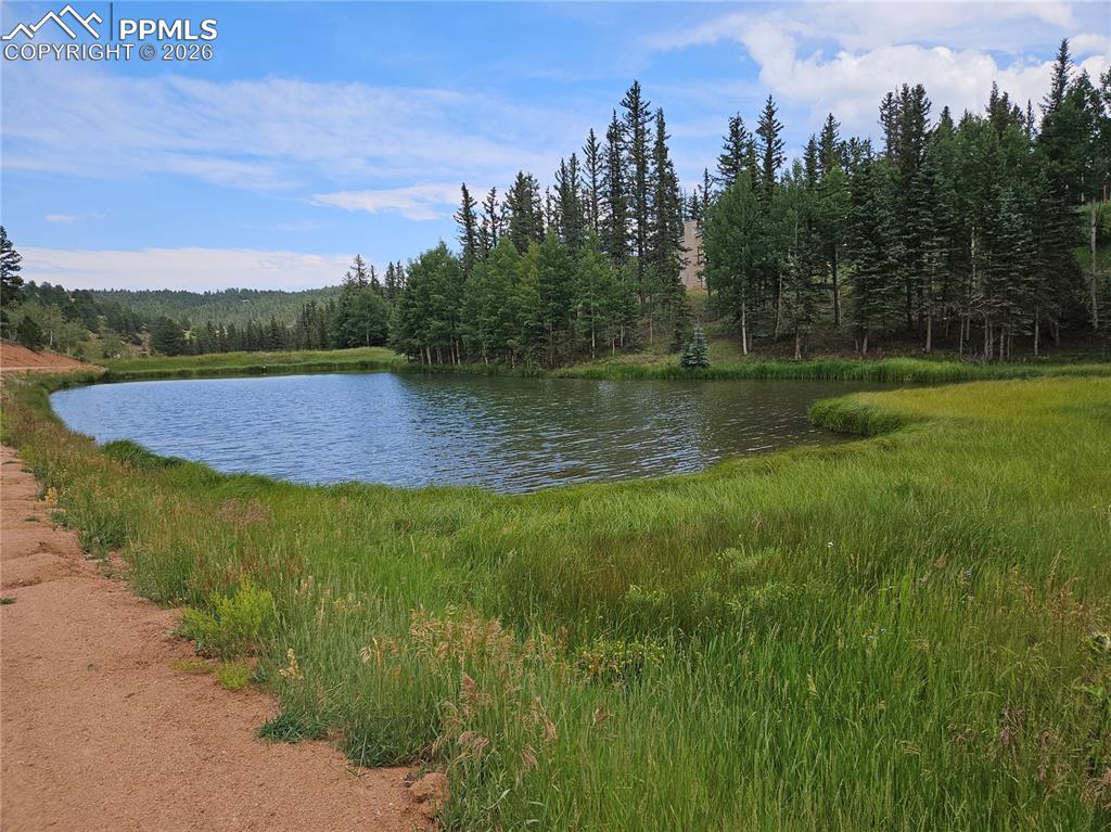 702 Lake Drive Divide CO 80814