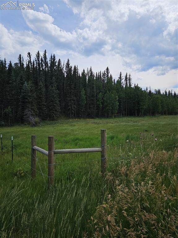 702 Lake Drive Divide CO 80814