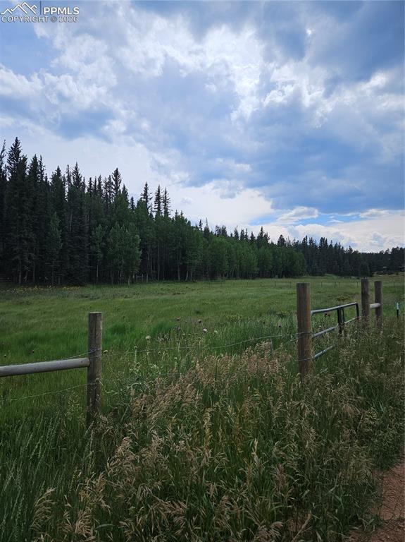 702 Lake Drive Divide CO 80814
