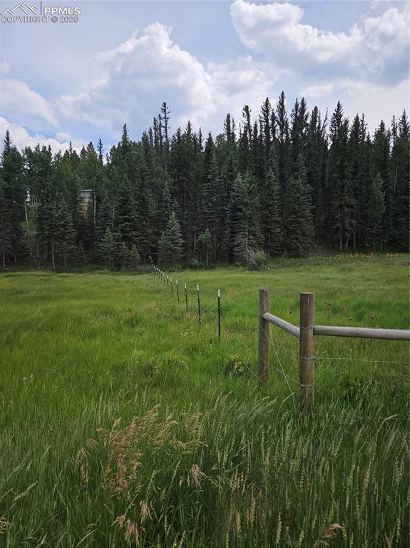 702 Lake Drive Divide CO 80814