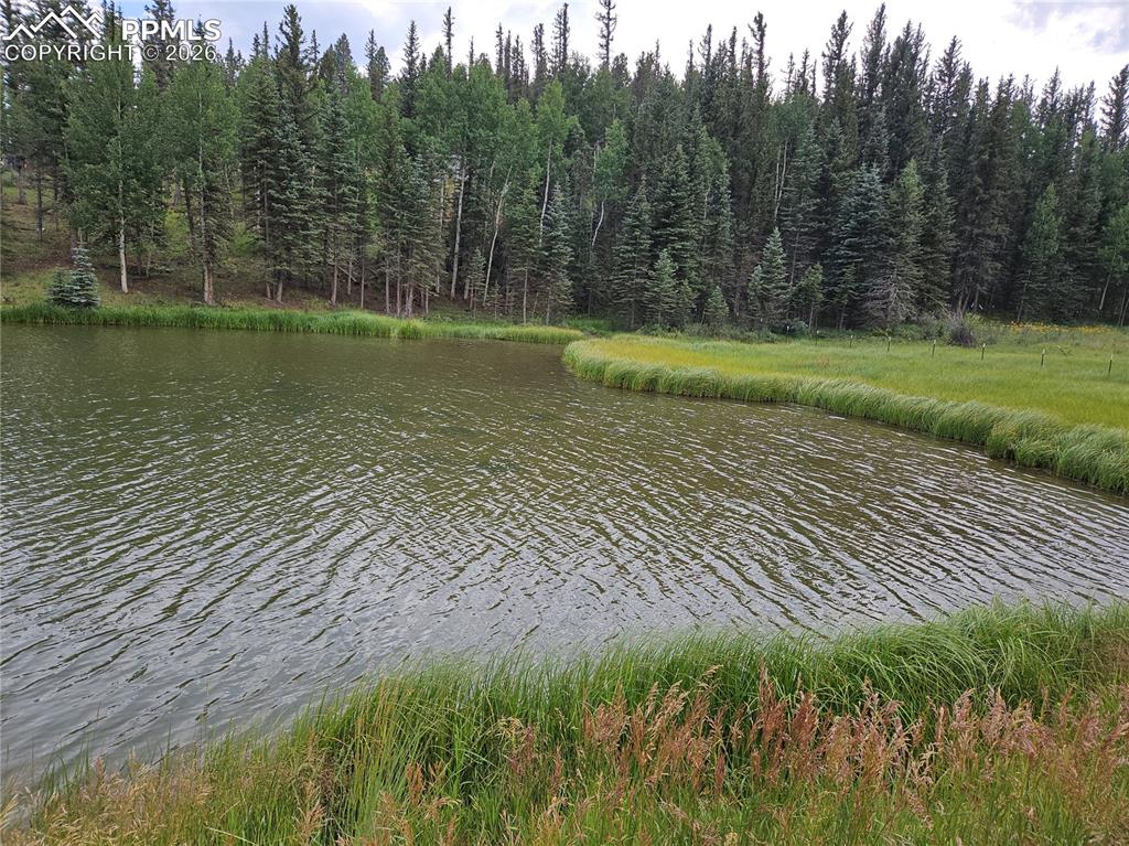 702 Lake Drive Divide CO 80814
