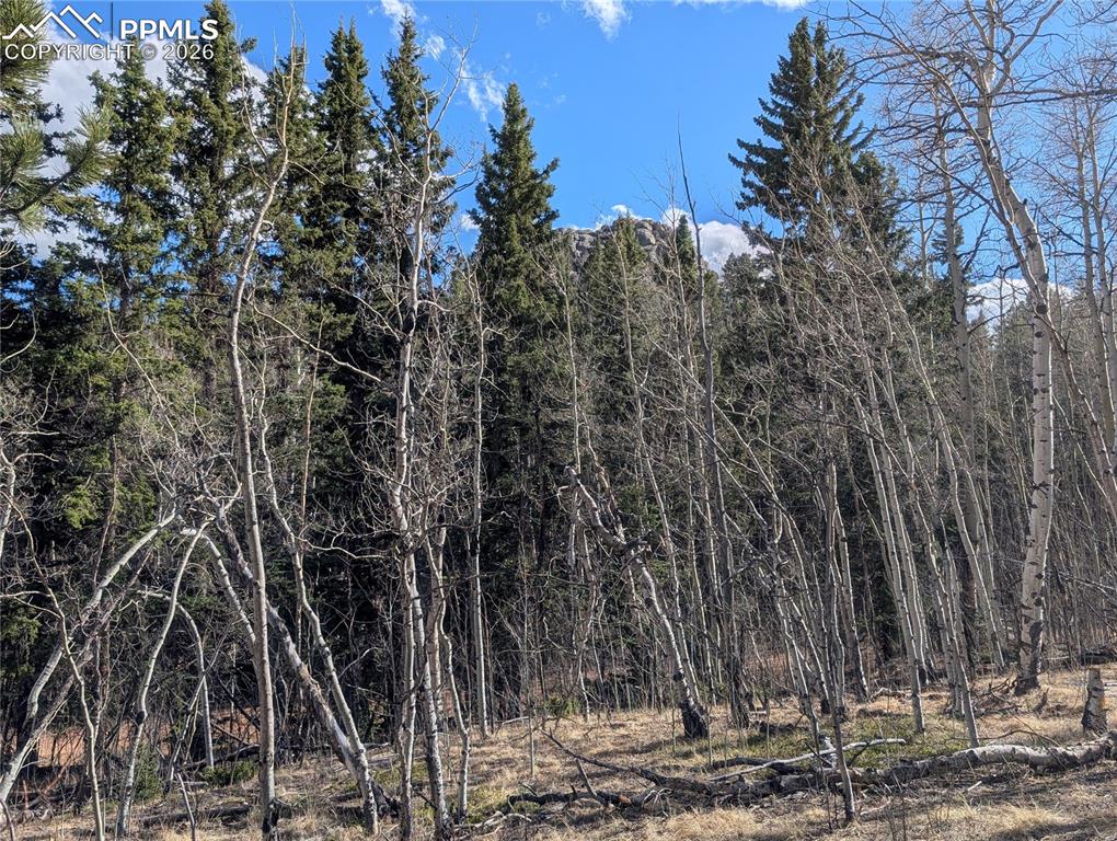 585 Eagle Rock Road Florissant CO 80816