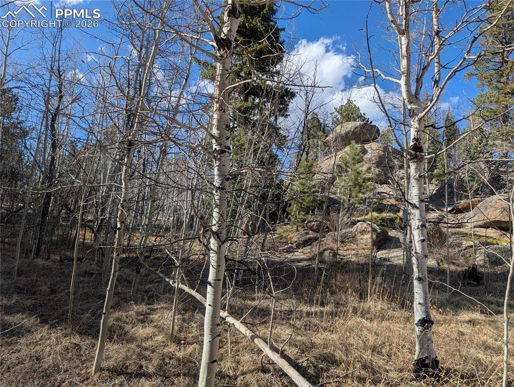 585 Eagle Rock Road Florissant CO 80816