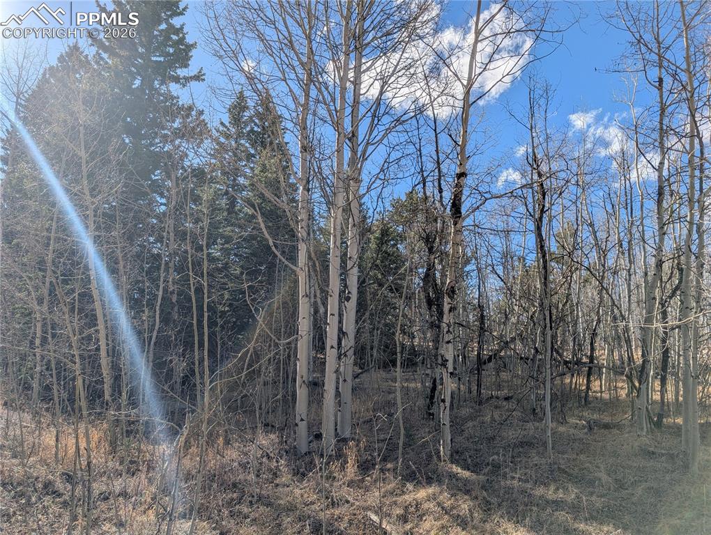 585 Eagle Rock Road Florissant CO 80816