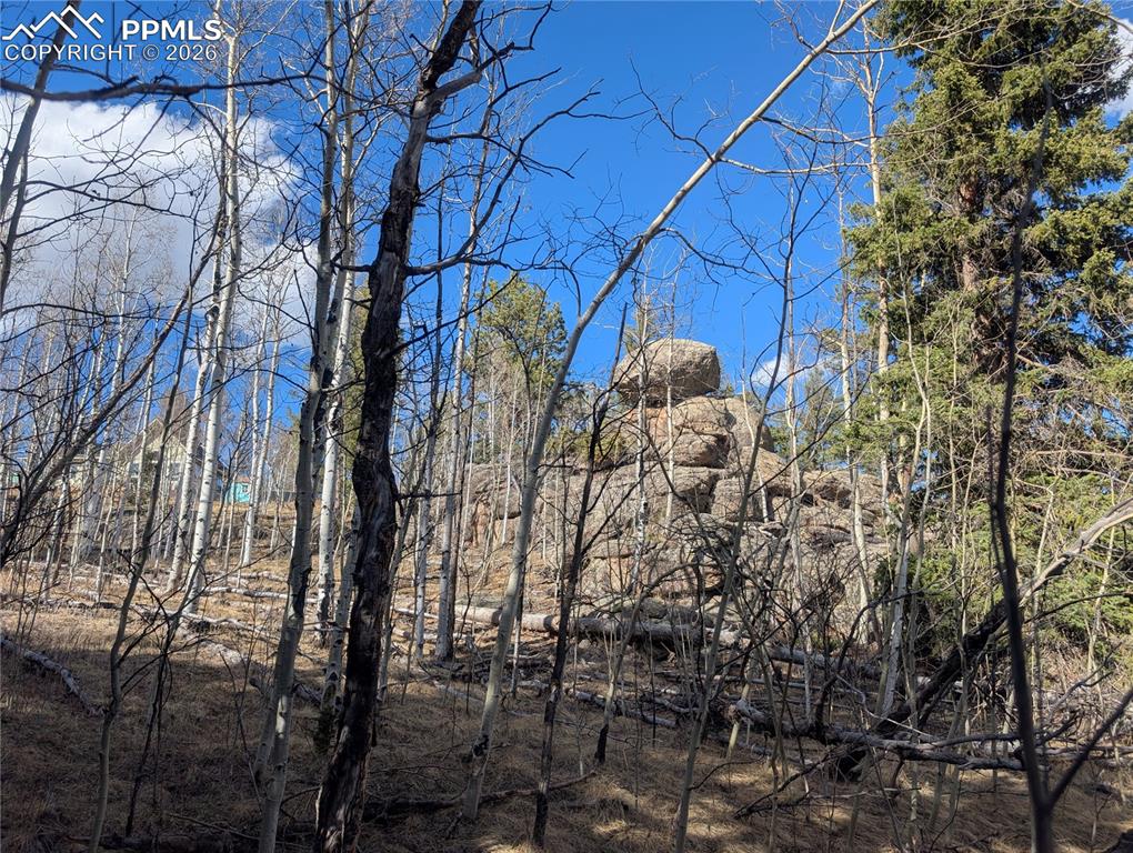 585 Eagle Rock Road Florissant CO 80816