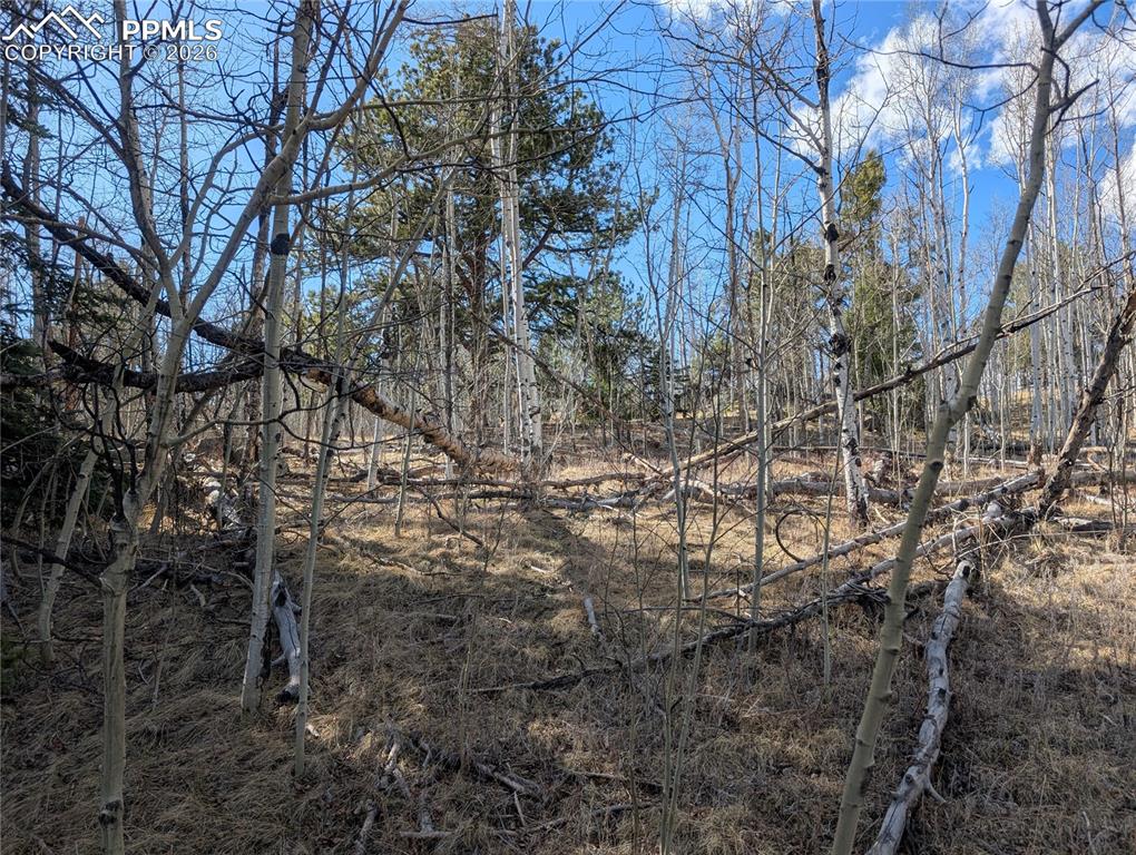 585 Eagle Rock Road Florissant CO 80816