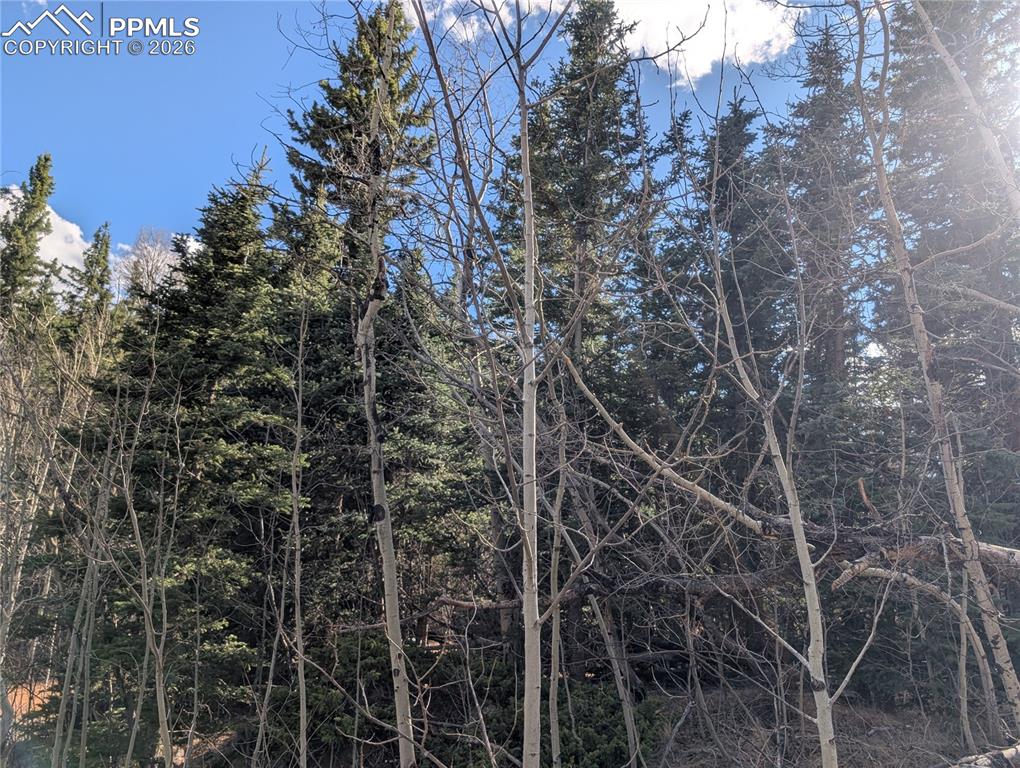 585 Eagle Rock Road Florissant CO 80816