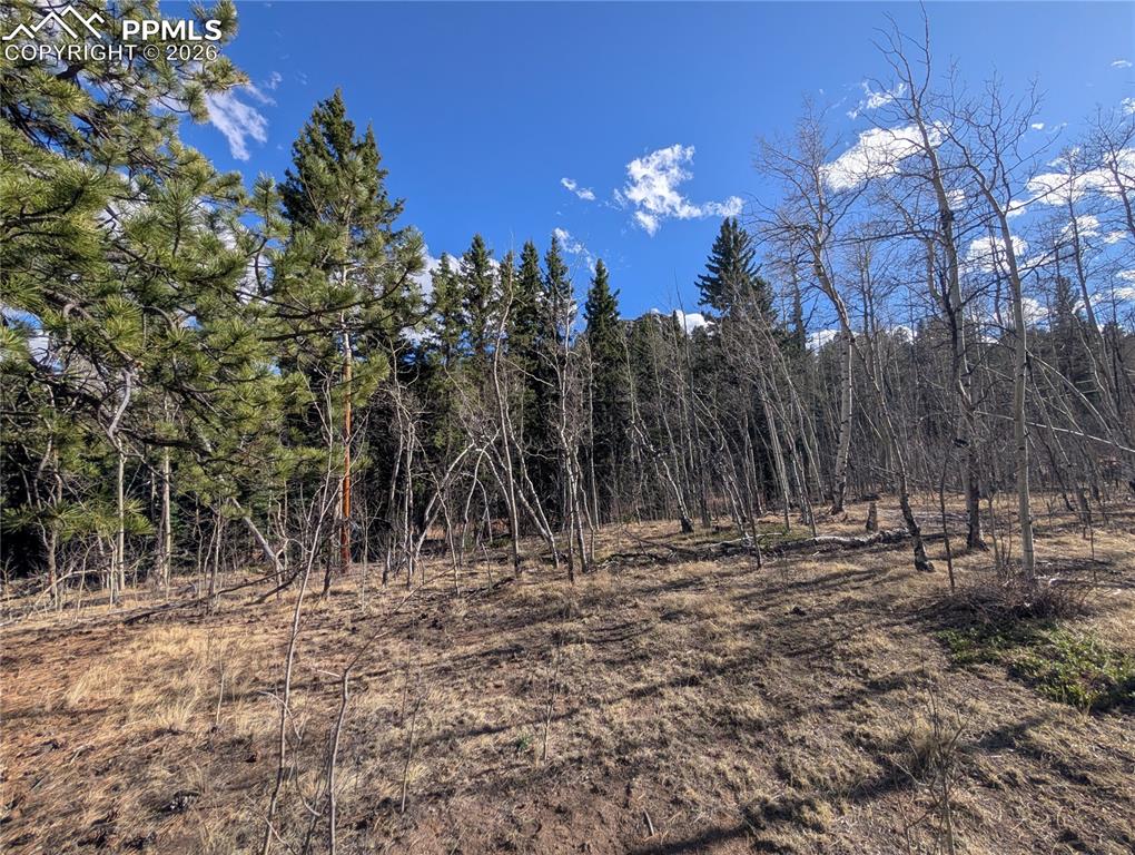 585 Eagle Rock Road Florissant CO 80816
