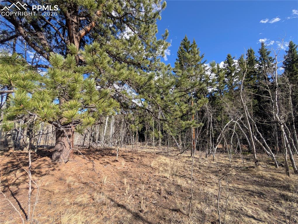 585 Eagle Rock Road Florissant CO 80816