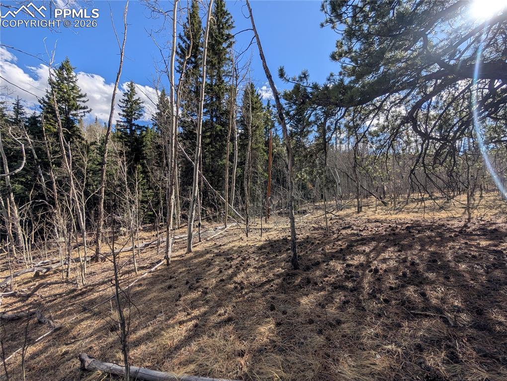 585 Eagle Rock Road Florissant CO 80816