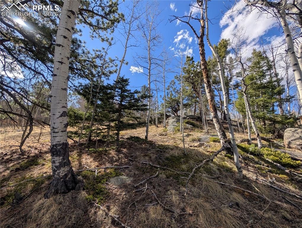 585 Eagle Rock Road Florissant CO 80816
