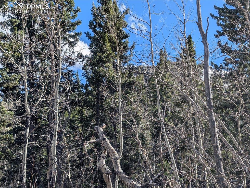 585 Eagle Rock Road Florissant CO 80816