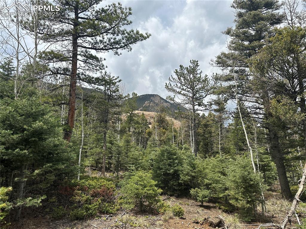 357 Big Horn Road Manitou Springs CO 80829