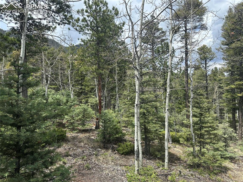 357 Big Horn Road Manitou Springs CO 80829