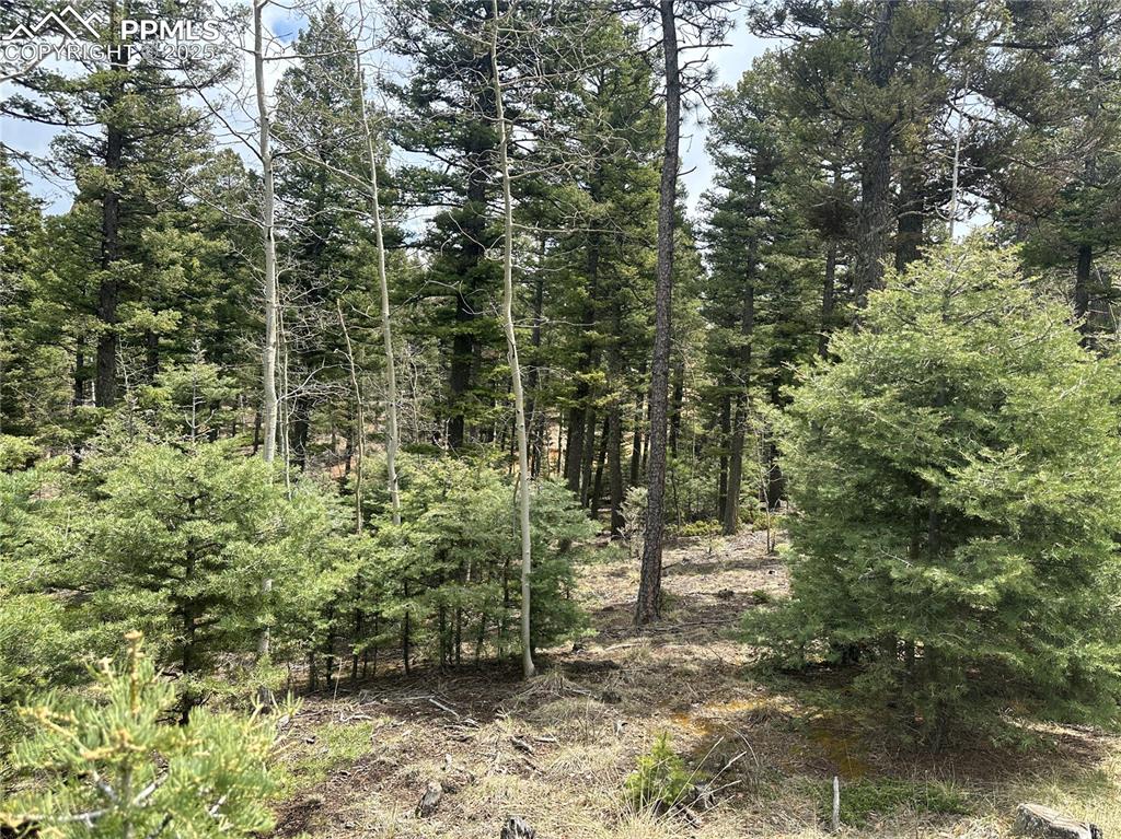 357 Big Horn Road Manitou Springs CO 80829