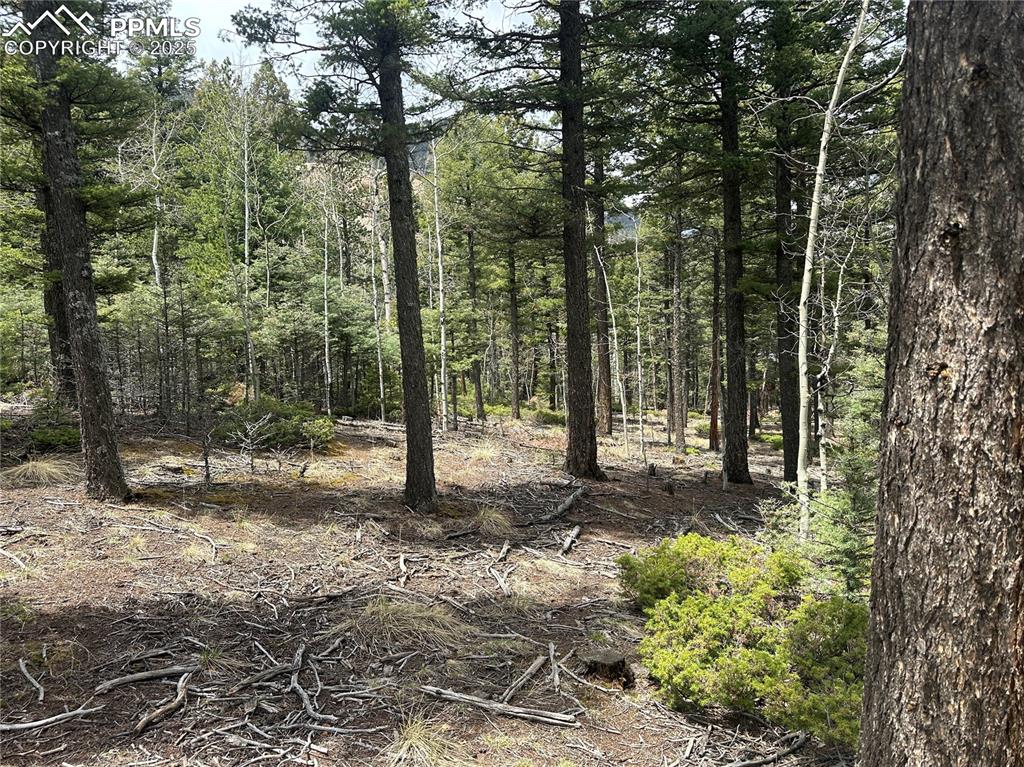 357 Big Horn Road Manitou Springs CO 80829