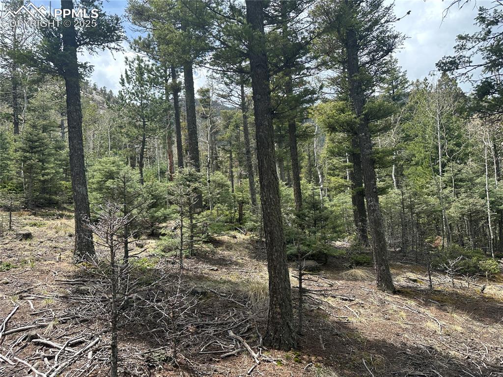 357 Big Horn Road Manitou Springs CO 80829