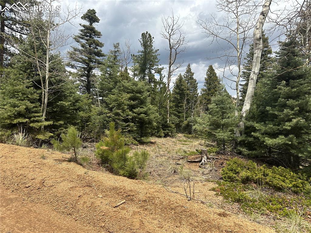 357 Big Horn Road Manitou Springs CO 80829