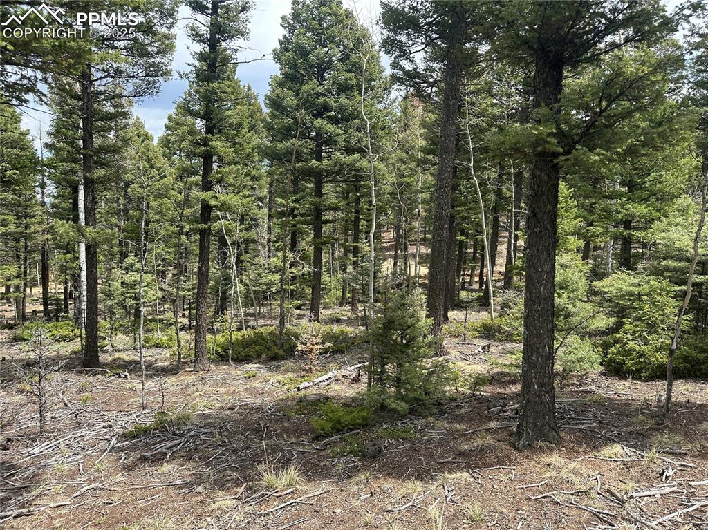 357 Big Horn Road Manitou Springs CO 80829