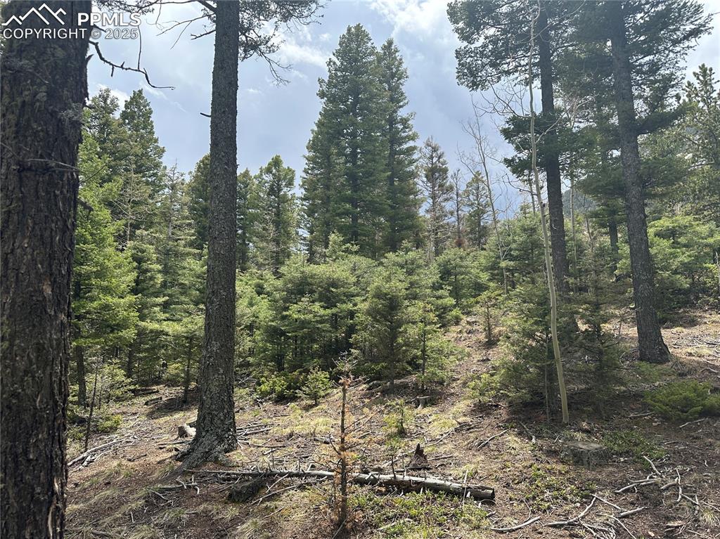 357 Big Horn Road Manitou Springs CO 80829