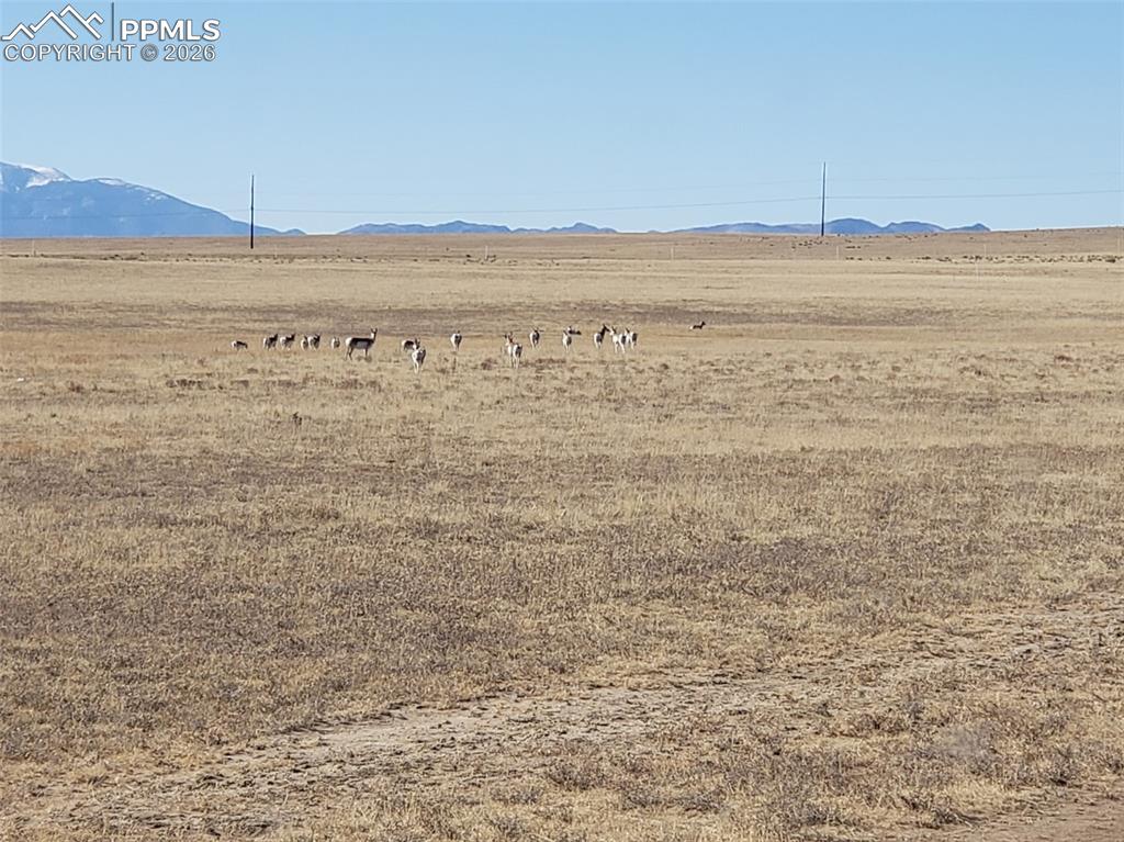 7510 Cowboy Ranch View Peyton CO 80831
