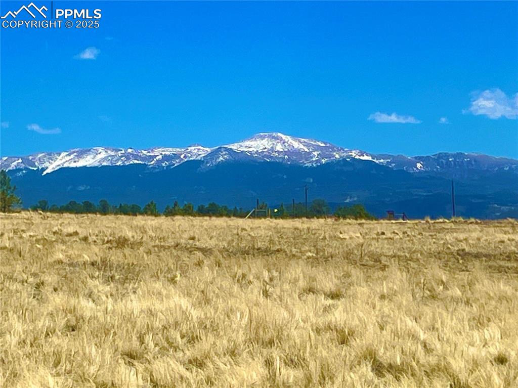 90 Meadow Lane Guffey CO 80820