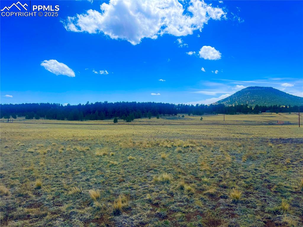 90 Meadow Lane Guffey CO 80820