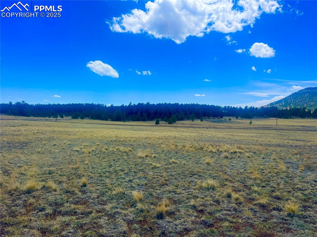 90 Meadow Lane Guffey CO 80820