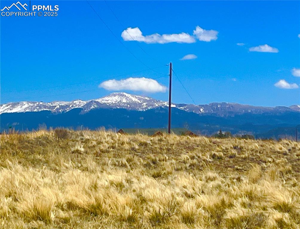 90 Meadow Lane Guffey CO 80820