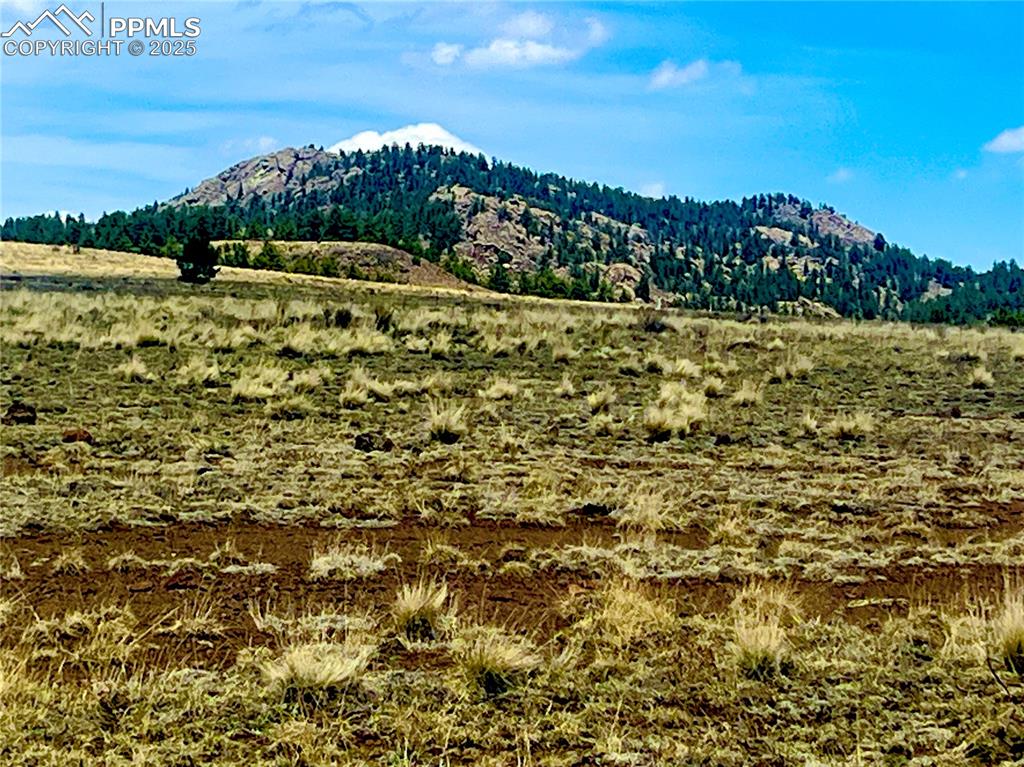 90 Meadow Lane Guffey CO 80820