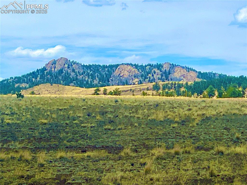 90 Meadow Lane Guffey CO 80820
