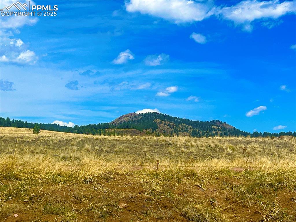 90 Meadow Lane Guffey CO 80820
