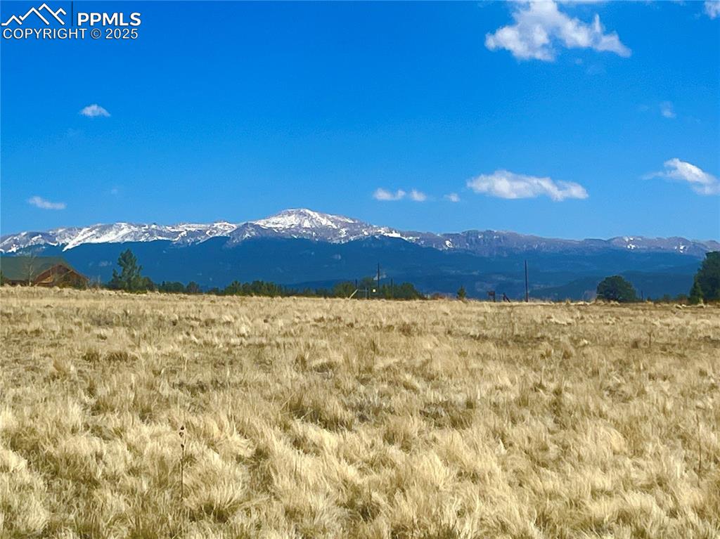 90 Meadow Lane Guffey CO 80820