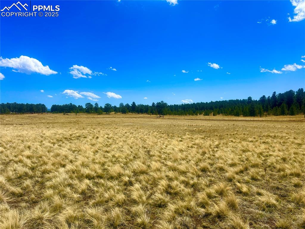 90 Meadow Lane Guffey CO 80820
