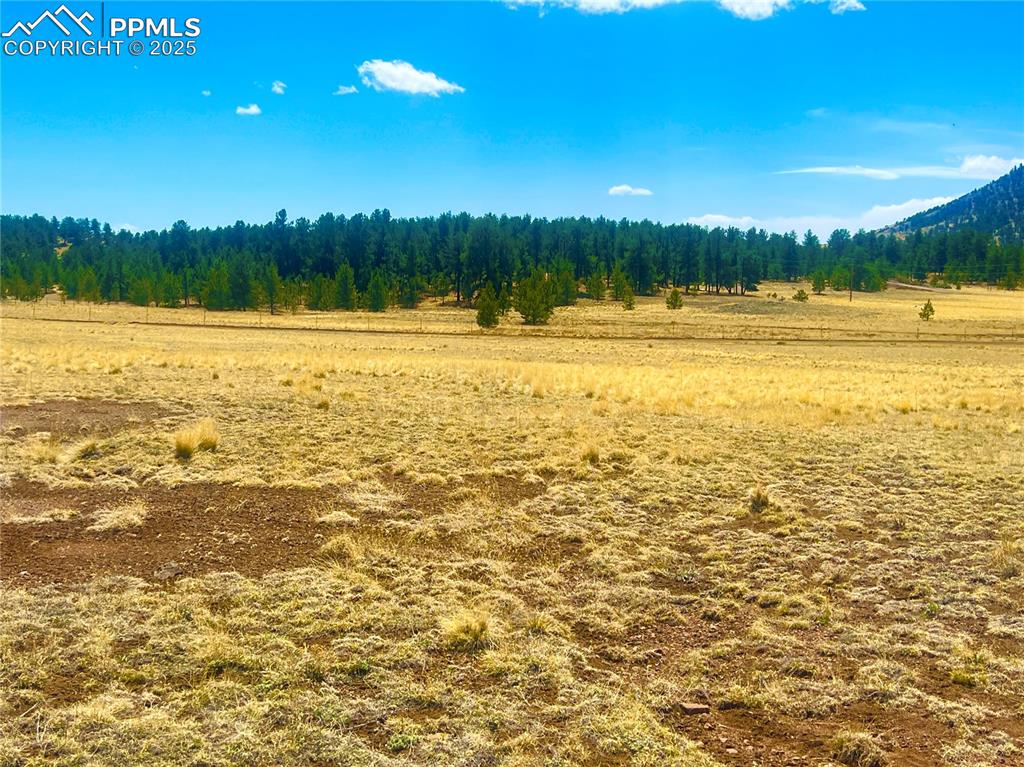 90 Meadow Lane Guffey CO 80820
