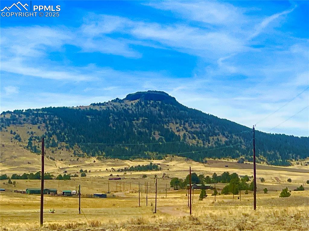 90 Meadow Lane Guffey CO 80820